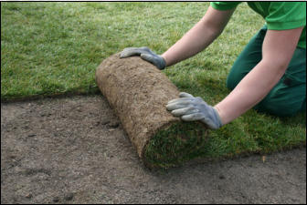Gartenpflege Brauner Rollrasen verlegen