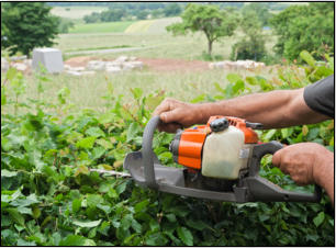 Gartenpflege Brauner Hecken schneiden