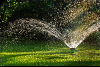 Gartenpflege Brauner Urlaubsbetreuung